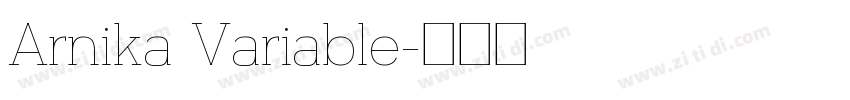 Arnika Variable字体转换